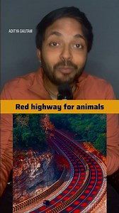 India’s first red table top marking highway for Animals sensitive zone in MP #shortsfeed #mp