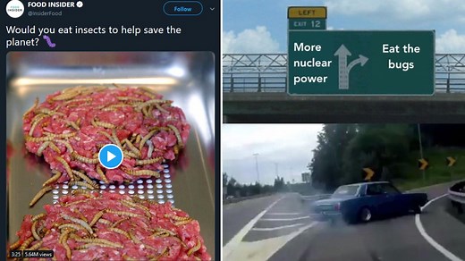 I Will Not Eat the Bugs | Know Your Meme