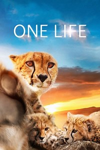 Stream One Life (2011): Find it on Netflix, Prime Video, Hulu & more