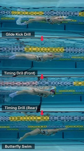 366K views · 2.1K reactions | Steps to Butterfly swim. Here are the...
