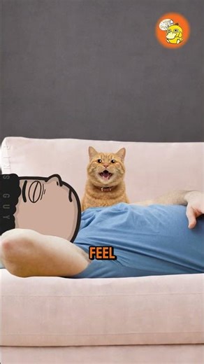 How Cats Trained Their Humans