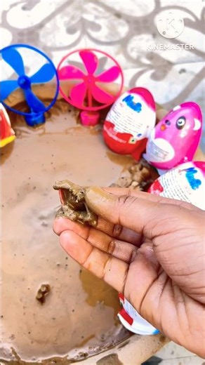 Lucky Draw Surprise – I Got a Ring! 🎉💍