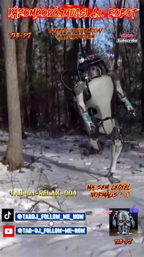 #mucsi #robot #aimucsi #mucsiai #neked