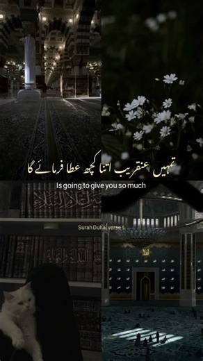 Surah Ad-Dhuha Beautiful Voice Recitation #quranictranslation #Quran #trendingshorts