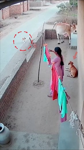 13M views · 34K reactions | Why did everyone’s attention suddenly go that way | #trendingnow #mystery Fictional CCTV scene created using AI. For entertainment only — nothing real here | Devil's night with dharmendra | Facebook