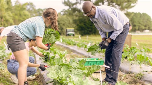 Health through food: A new strategy to lower costs and improve lives in NC - Triangle Business Journal