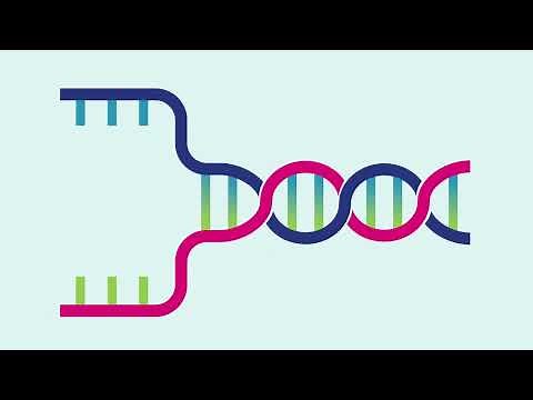 What is Bionanotechnology?