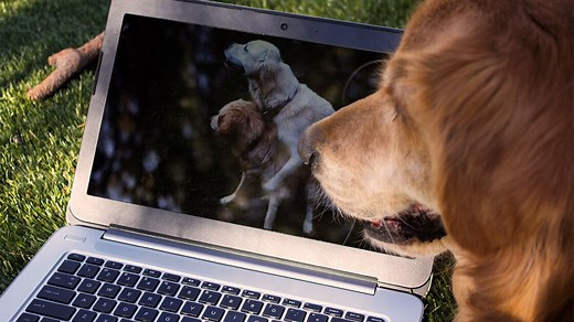 Use Protection: 6 Tips to Watch Porn Online Safely