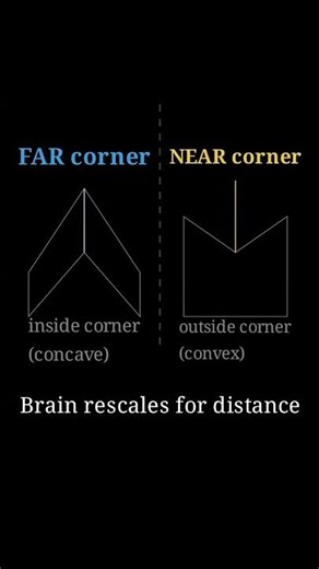 Why Your Brain Lies to You (The Math of Optical Illusions)