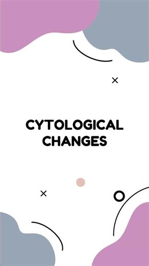 WHO 2022 Oral Epithelial Dysplasia 28 Features → High Yield Ones