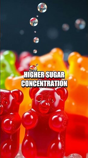 Osmosis at the Kitchen Table Gummy Bear Lab
