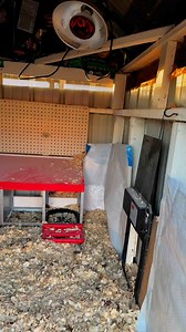 327K views · 2.7K reactions | If your flock is one of the exceptions to the rules that actually need heat in the winter… do NOT use a heat lamp. #chickens #chicken #chickencoop #heatlamp #coopfire #chickenschmidtfarms #fyp #winterchickens #reels #backyardchickens #chickenmom #coop | Chicken Schmidt Farms | Facebook