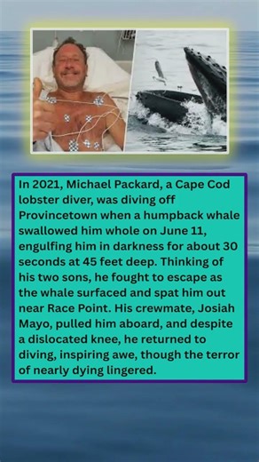 Michael Packard a Cape Cod lobster diver was diving off Provincetown in 2021
