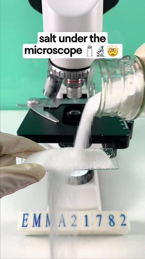 Fascinating Salt Under the Microscope | Magnified 400 Times