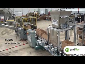 BoxxPak loose filling bags into cases