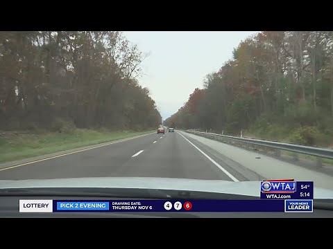 ‘Very credible’ Bigfoot sighting reported in Central Pennsylvania, researcher said | WTAJ