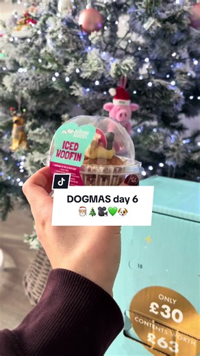 DOGMAS day 6 🐶🫶🏻 #dogmas #vlogmas #goldenretriever #adventcalendar