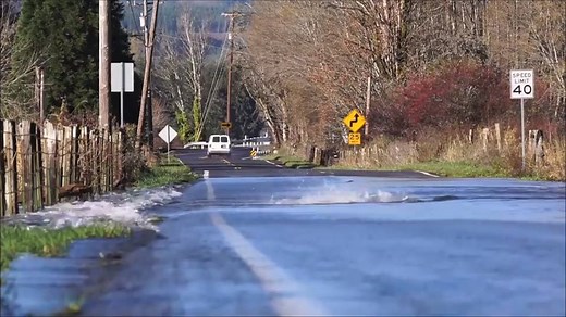 Why did the fish cross the road? According to local reports in Seattle, Washington last month, a flooded street was the fastest way to get upstream 🐟 | The Weather Network
