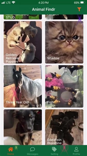 Cute and Heartwarming Animal Moments of 2025