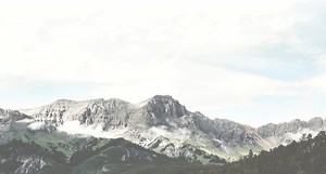 Edge - Nootropic Cognitive Enhancer