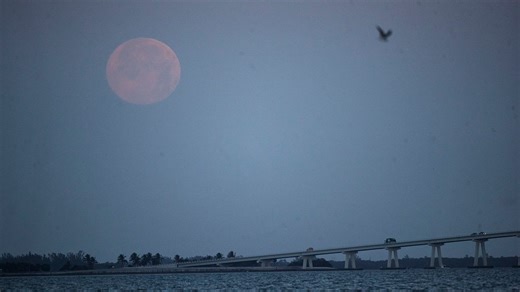 What to know about February's snow moon, Alpha Centaurid meteor shower