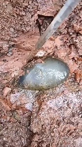 33K views · 51 reactions | Awesome video compilation | Rastro de Séries | Facebook