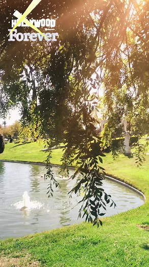 Exploring Hollywood Forever Cemetery: A Look Into Old Hollywood's Famous Graves