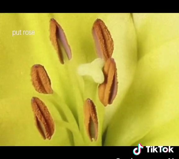 Frank Ocean's 'Pyrite' - Exploring the Song's Meaning