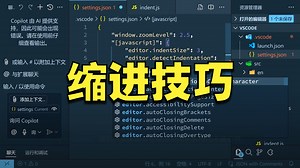 如何在 VSCode 中缩进单行、多行，设置缩进字符和宽度 - Visual Studio Code 教程_1080p