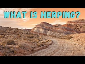 What is herping?
