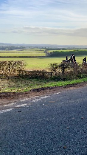 I need a hunting pony 😭 bo last year ❤️ he is doing eventing now in his new home !!!! #unshadowbanme #fypシ #eq #xybcza #smpponies #shiresequestrian #bo