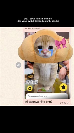 disc: bukan salah bumblenya tapi salah usernya 🤣😭. Dia emang ga #mokondo tapi dia #gacukupsatucewe🤯 … sampe sekarang kalo inget ini masih terheran - heran 🤣✋