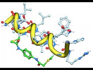 Peptide Modeling in MolSoft ICM-Pro Interactive Ligand Editor