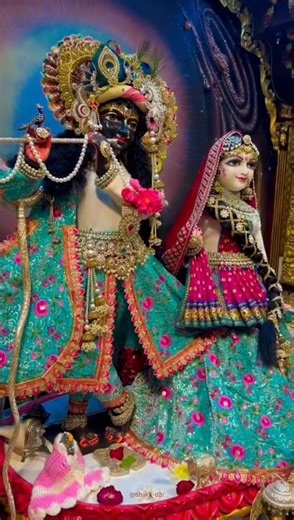 The Sweet Essence: Exploring Beautiful Expressions and Emotions