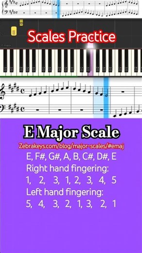 Major Scales Practice: D Major