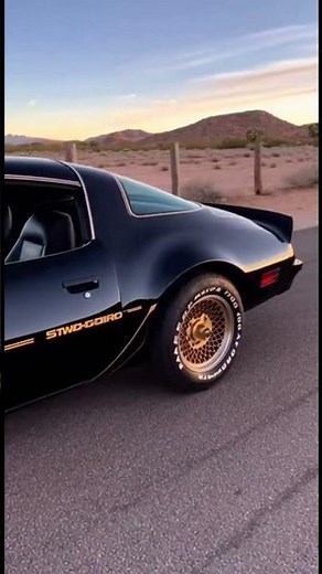 Aerodynamic and Stylish Design of the 1978 Trans Am! #carmuseum