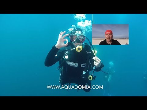 Apprendre la plongée sous-marine : comment débuter, durée, tarif ?