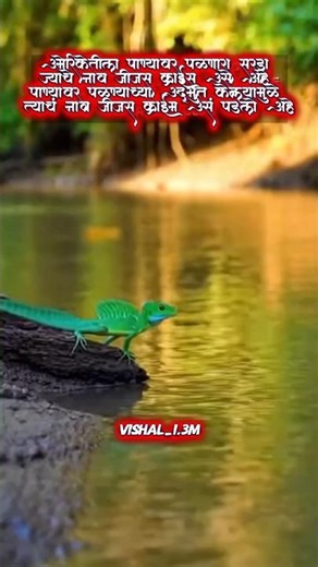 पाण्यावर पळणारा सरडा जिजस ख्रिस्त