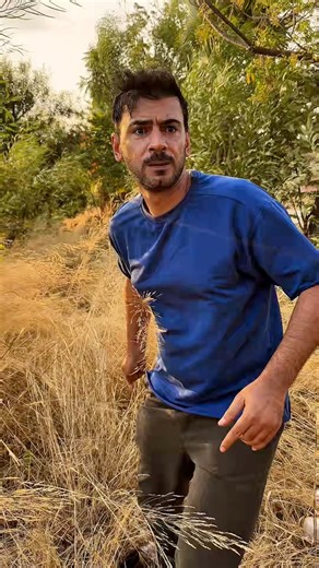 456K views · 1.9K reactions | Komodo ejderi iş başında  #komodoejderi #koyun | Mustafa Yavaş | Facebook