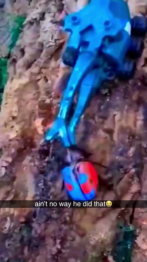 #beetle #funny #memes | Beetle