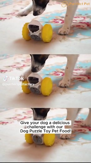 PurrfectPetFactory on TikTok