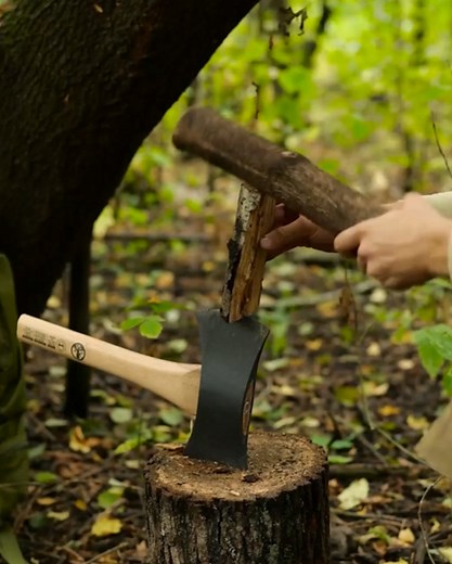 4.1K views · 65 reactions | Survival in the wild made easy with these tips! | Red Koala | Facebook