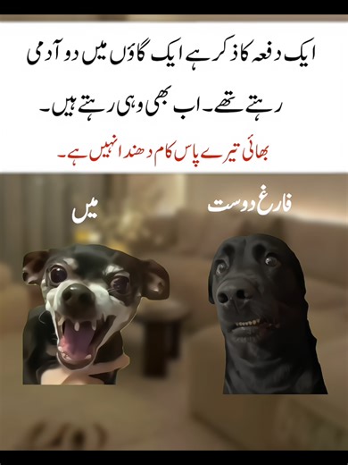 Hilarious Memes That Will Make You Laugh Out Loud