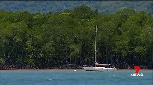 5.8K views · 38 reactions | Scientists are enlisting the help of Far North residents to monitor the region's mangrove forests. They want to get a better picture of the shrub's health after discovering one of the worst diebacks on record. www.7News.com.au #7News | 7NEWS Cairns | Facebook
