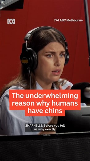 Sharnelle did not take this on the chin... Have you ever wondered why we have chins? Do they have some grand purpose we just don't know about? Dr Jen joined Sharnelle and Bob to share new research about the real reason behind why humans have chins. Tune in to Breakfast with Sharnelle and Bob on 774 ABC Radio Melbourne or on ABC listen: https://ab.co/ABCListenApp #774ABCMelbourne | ABC Melbourne