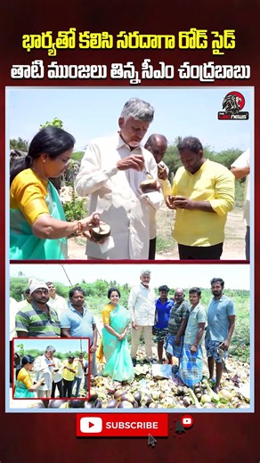 భార్యతో కలిసి సరదాగా రోడ్ సైడ్ తాటి ముంజలు తిన్న సీఎం చంద్రబాబు 👌 #cmchandrababu #chandrababunaidu