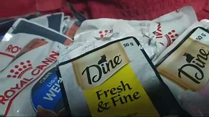 1.7K views · 340 reactions | Archie has received his first round of gifts from these wonderful people mentioned Thank you so much  | My Little Kittie | Facebook