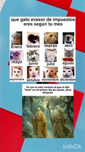 Que gato eres según tu mes de nacimiento 🤔🤨🍑