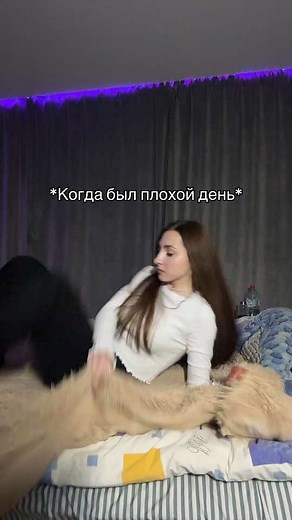 Агрессивное укутывание в плед: юмор и рекомендации