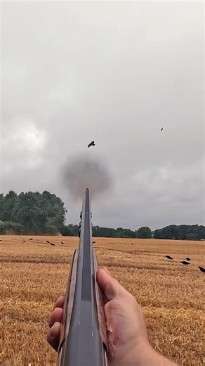 TEXT BOOK DOUBLE CROW 😍